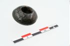 Foto von Bronzeringperle (NHMW-PRAE-025144)